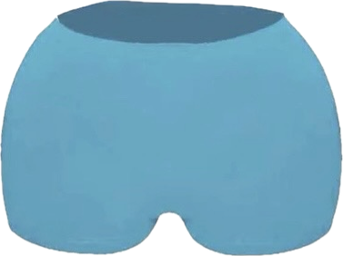 HER MIAMI BLUE SHORTS